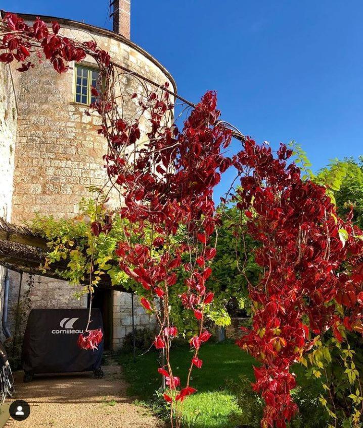 Cote-Serein La Privilege De La Tour Madame Noyers-sur-Serein Exterior foto